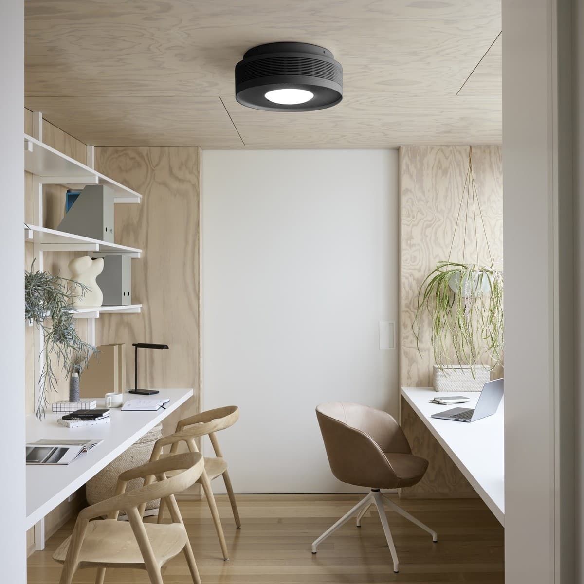 Sanso EvOne 3-in-1 Ceiling Mounted Air Purifier, Ioniser and Multi-Functional Light in Black